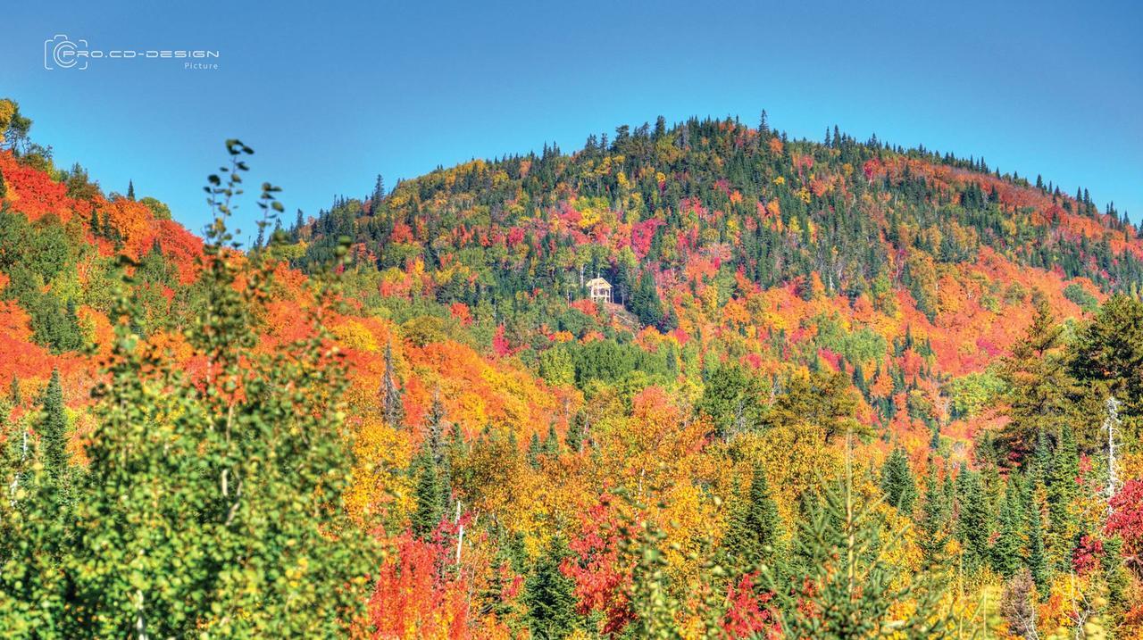 Le Ti Moose Villa La Malbaie Bagian luar foto